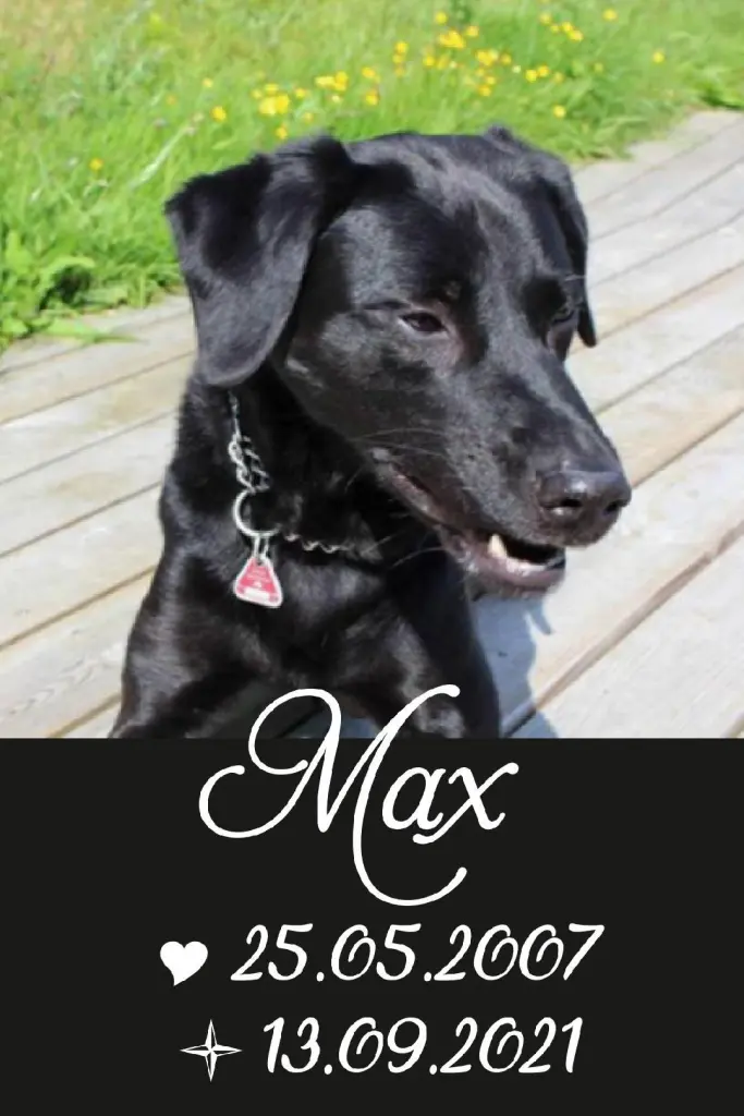 Image from Max