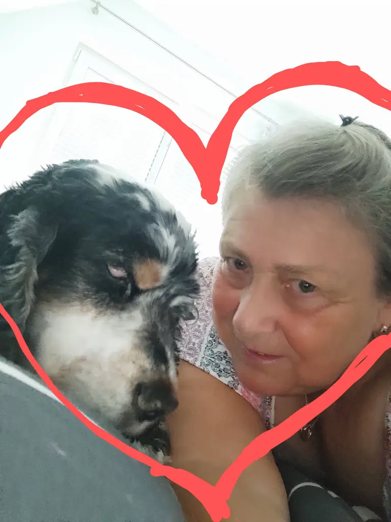 Image from Gismo