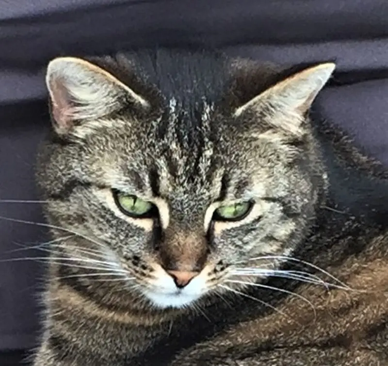 Andachtsbild von Sabine mit Minki