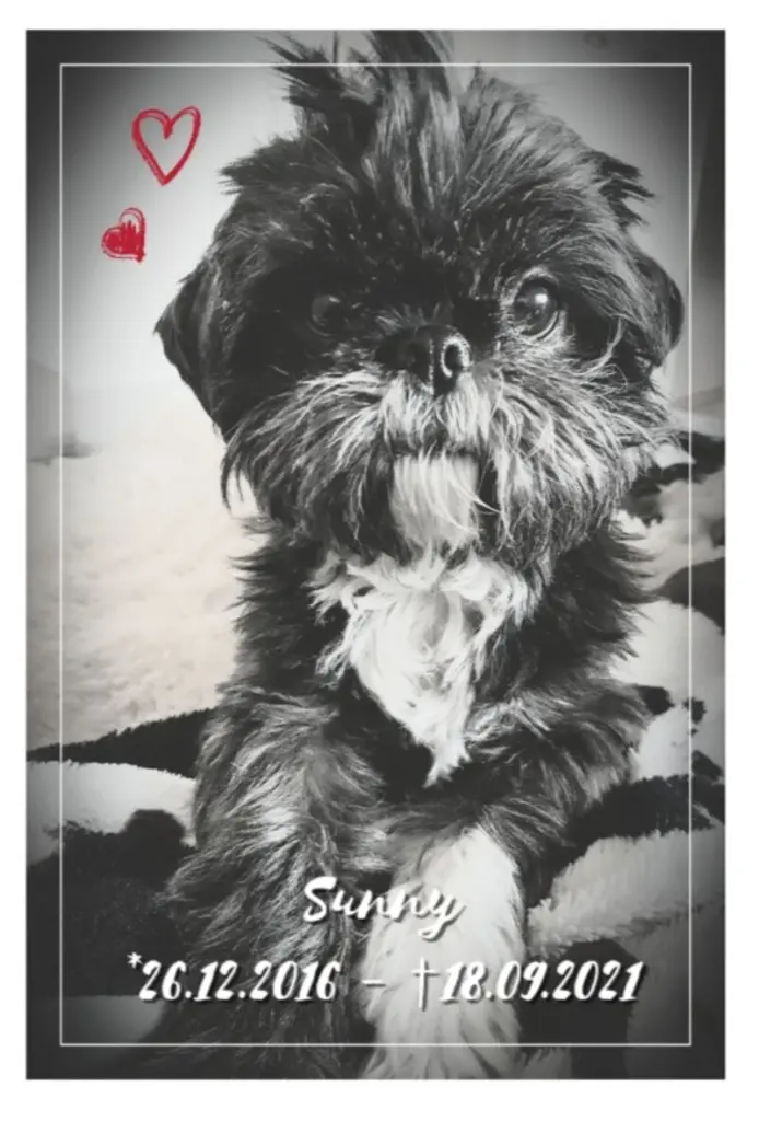 Andachtsbild von Ulrike mit Seelenhündin Sunny