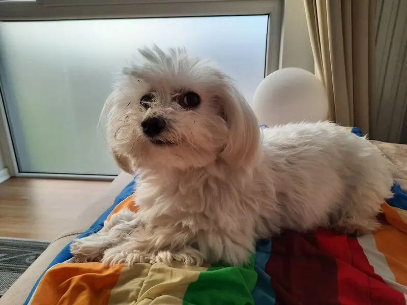 Andachtsbild von Deine Mami