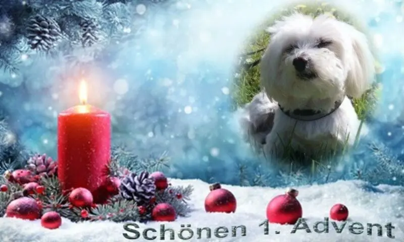 Andachtsbild von Andrea mit Minki im ❤