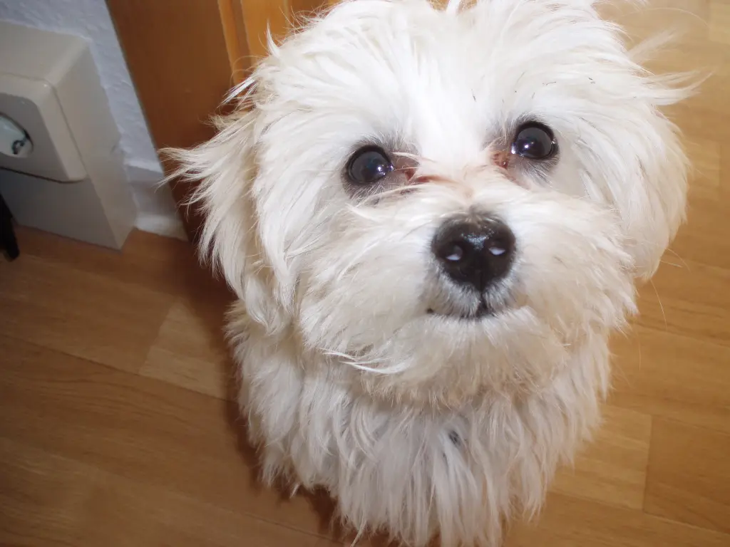 Andachtsbild von Deine Mami