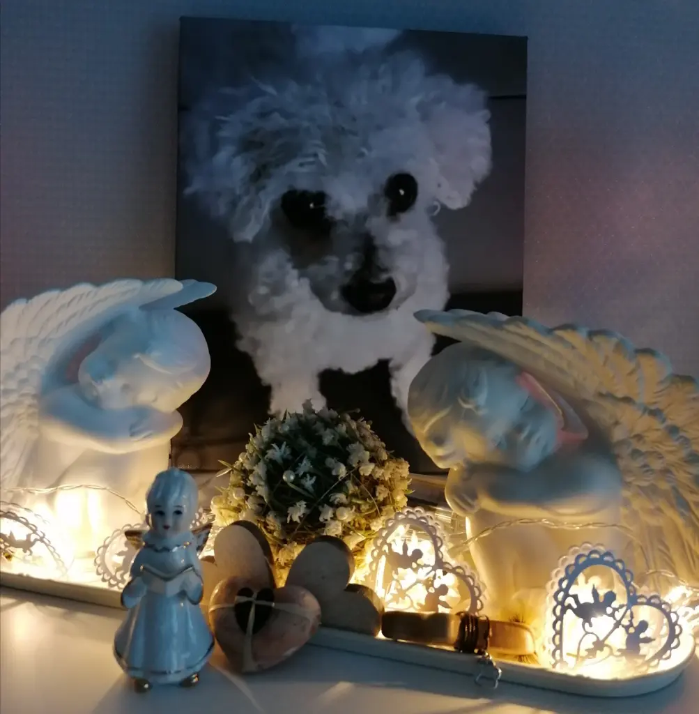 Andachtsbild von Gaby mit Snowy im Herzen