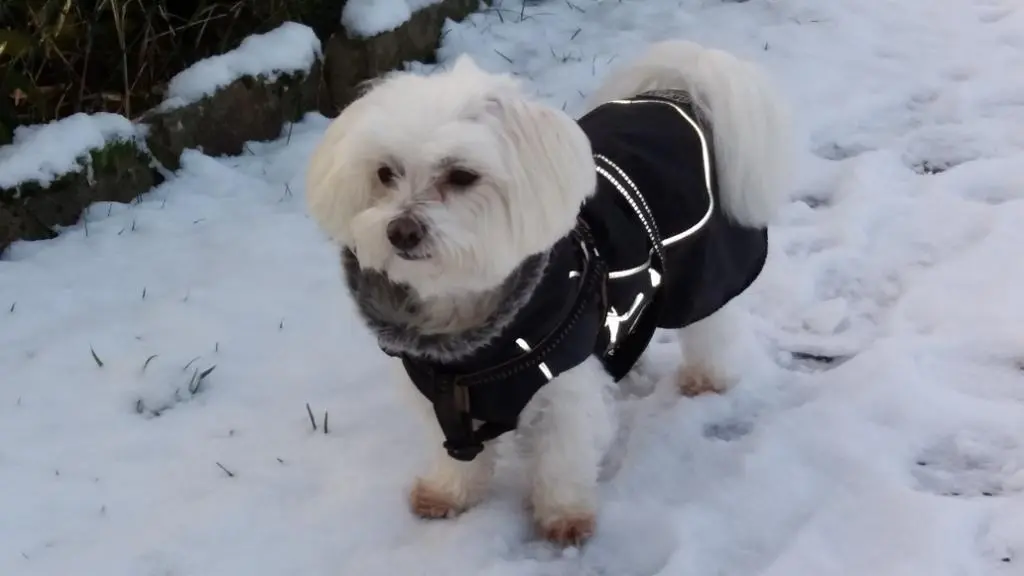 Andachtsbild von Deine Mami