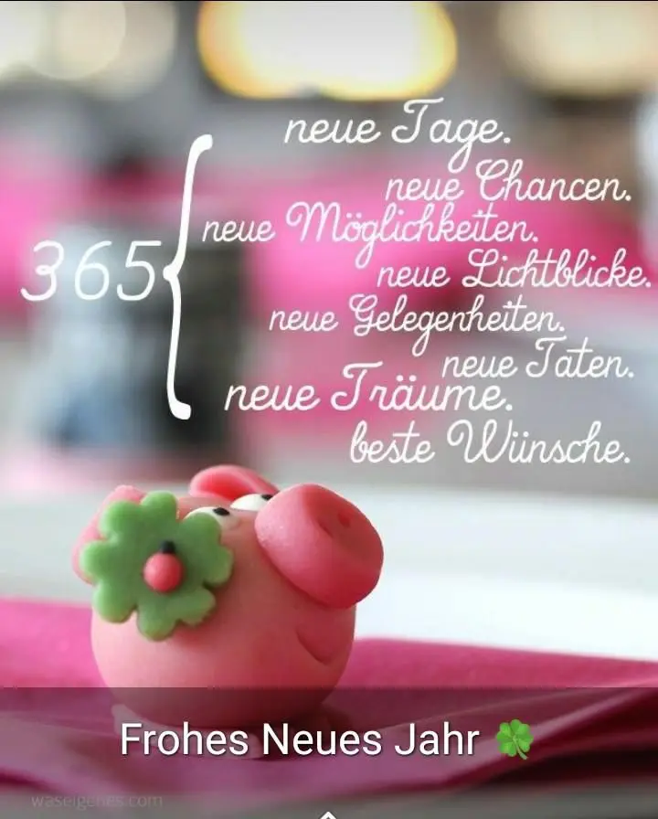 Andachtsbild von Gaby mit Snowy ❤️