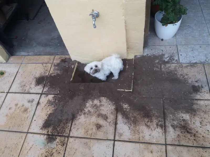 Andachtsbild von Deine Mami