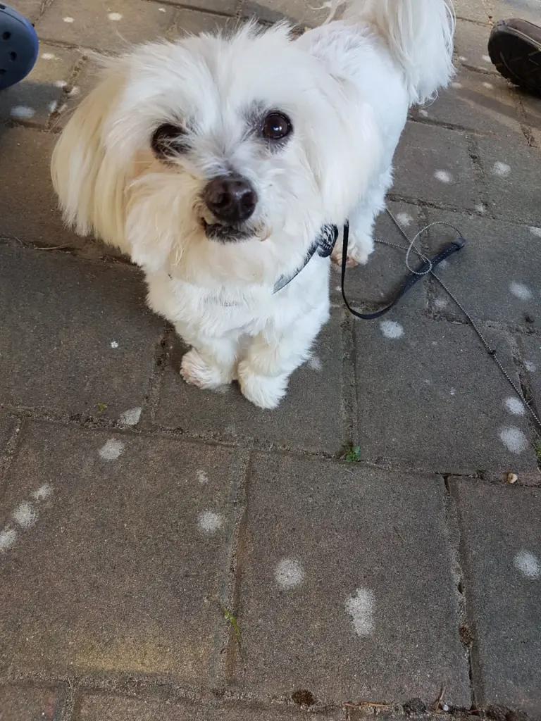 Andachtsbild von Deine Mami