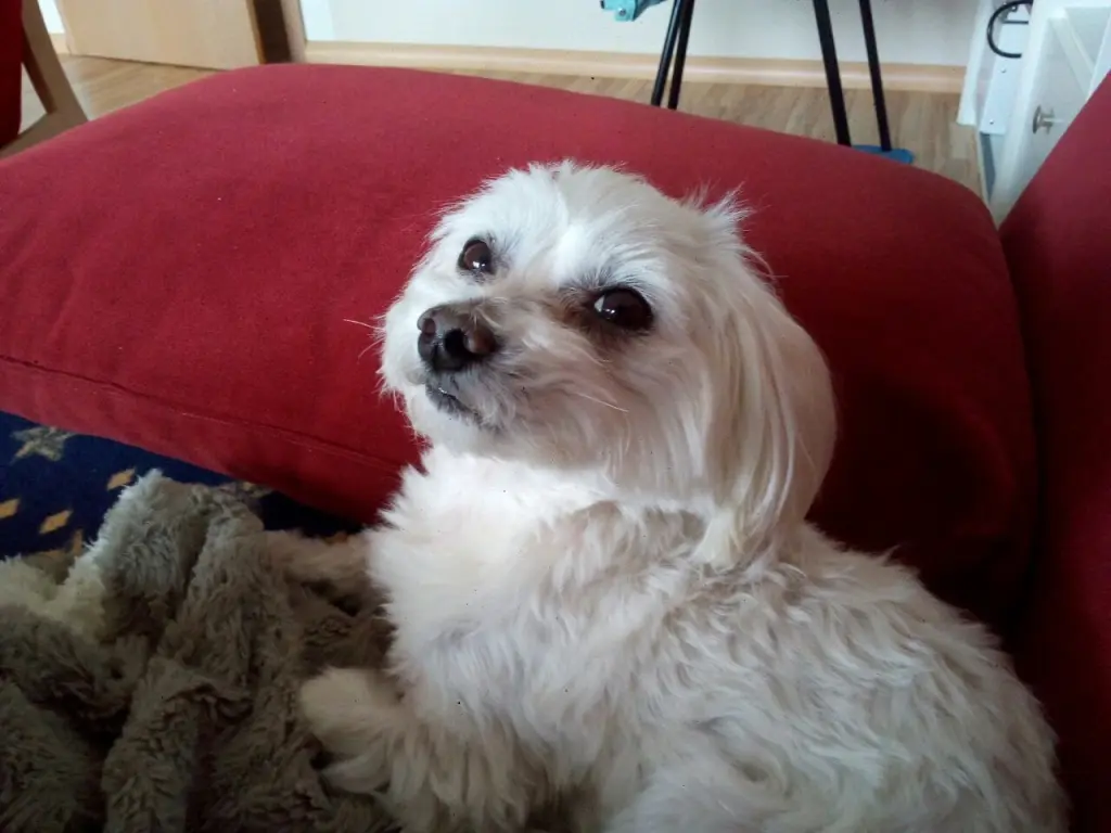 Andachtsbild von Deine Mami