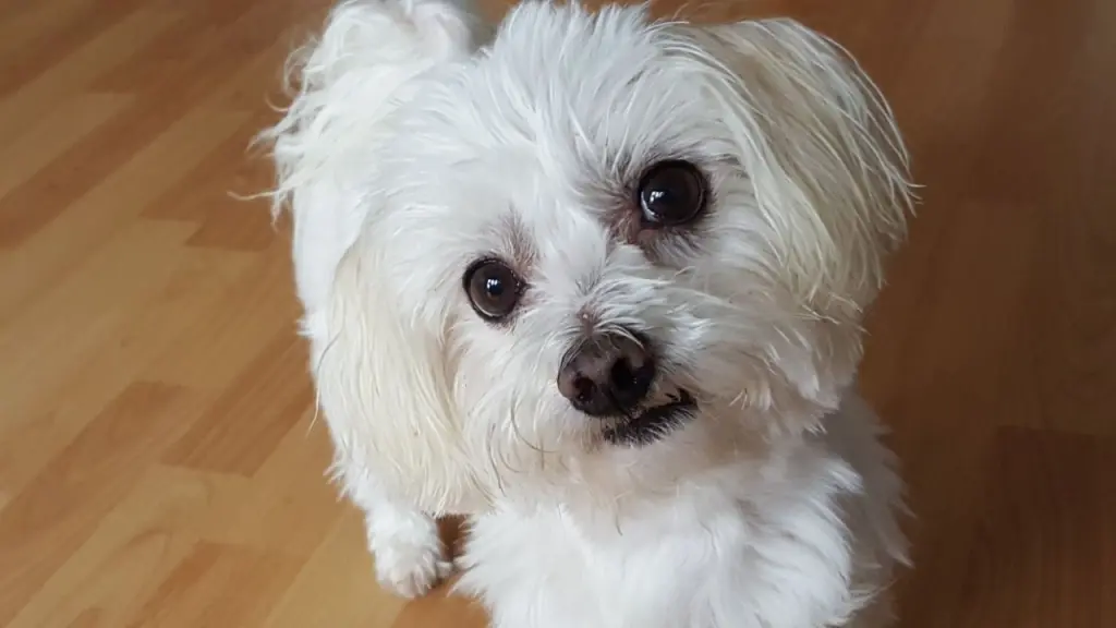 Andachtsbild von Deine Mama