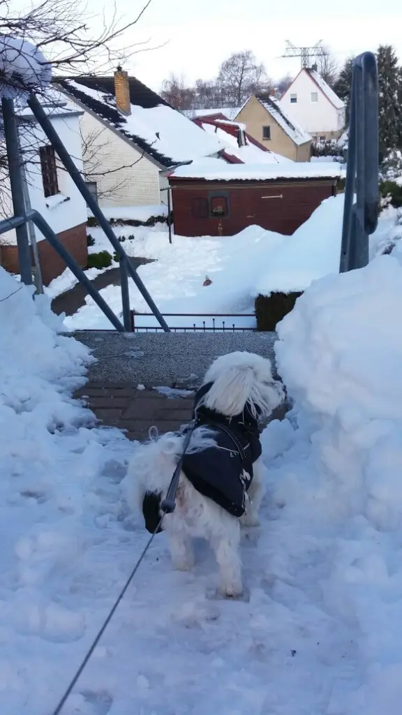 Andachtsbild von Deine Mami