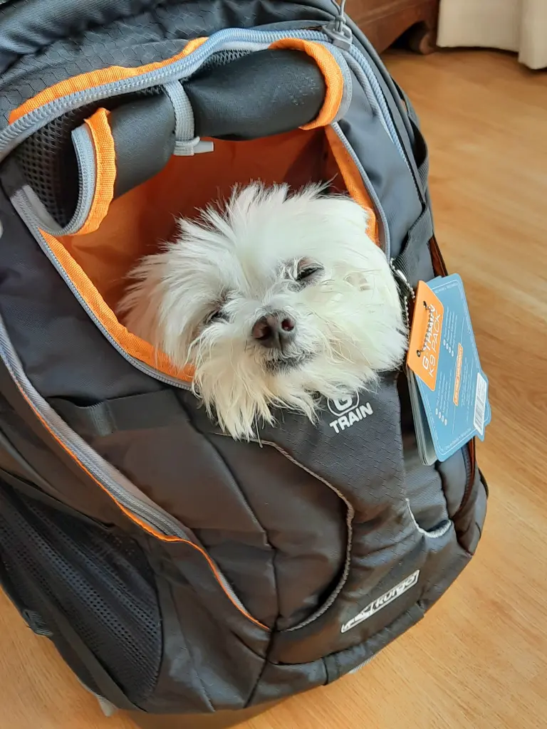 Andachtsbild von Deine Mami