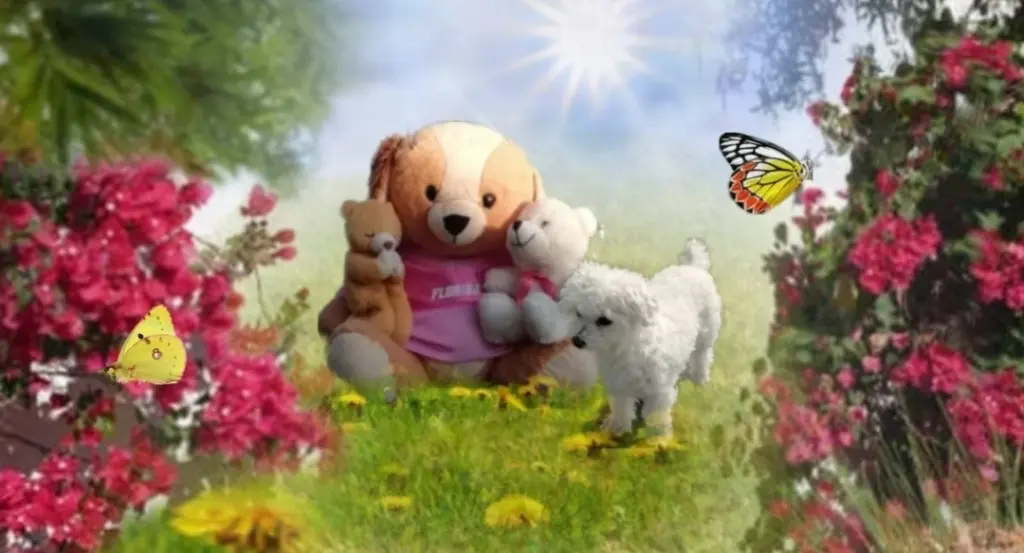 Andachtsbild von Snowy ❤️