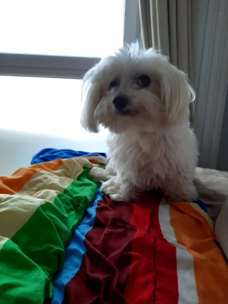 Andachtsbild von Deine Mama