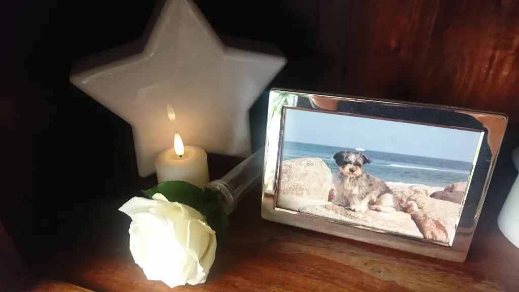 Condolence image of Claudia Endrich