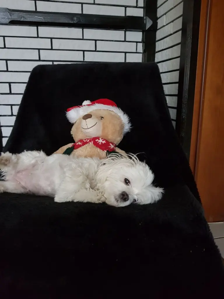 Condolence image of Peggy