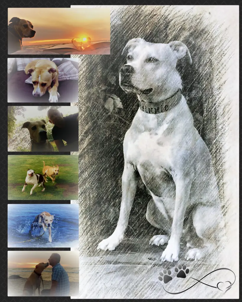 Image from Prinnie