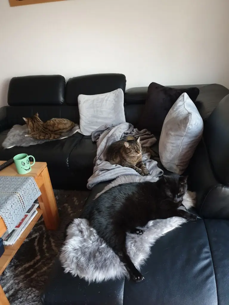 Condolence image of Heike mit Minki und Kalli