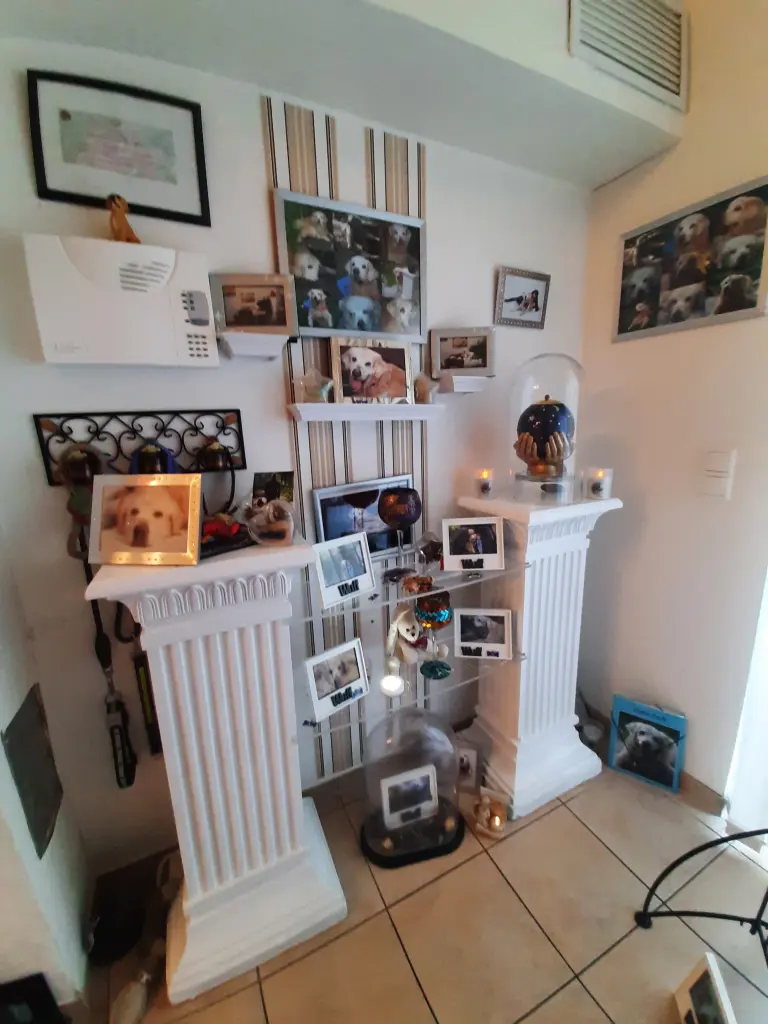 Image from Payk