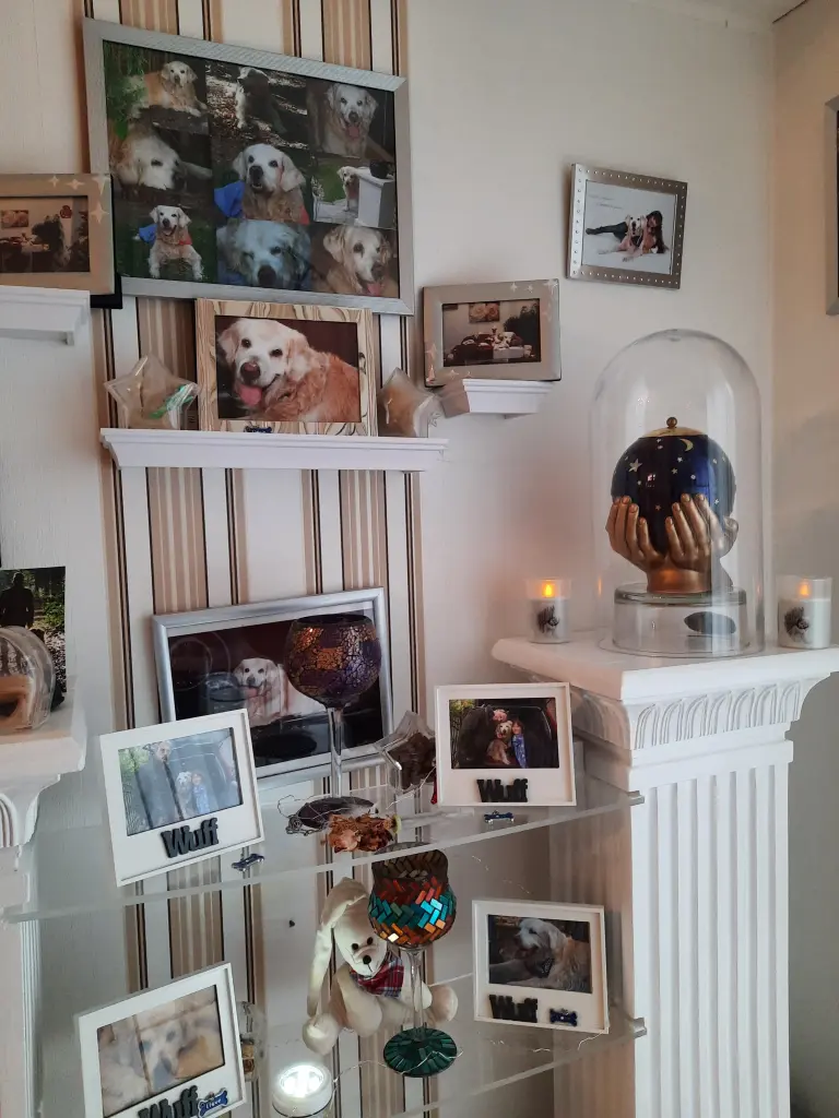 Image from Payk