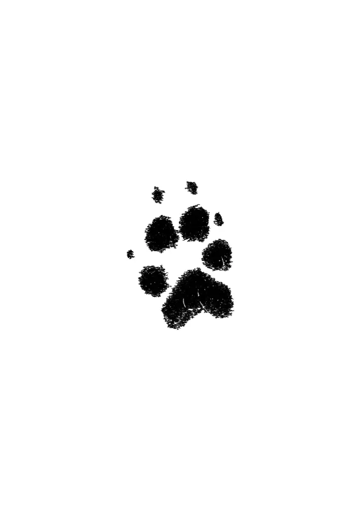Image from Luna