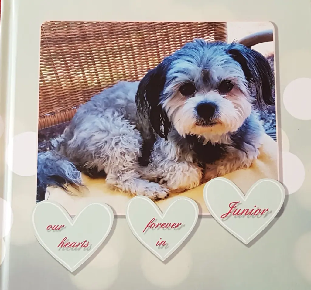 Condolence image of Petra und Wilfried Guth > für Junior in ewiger Liebe <