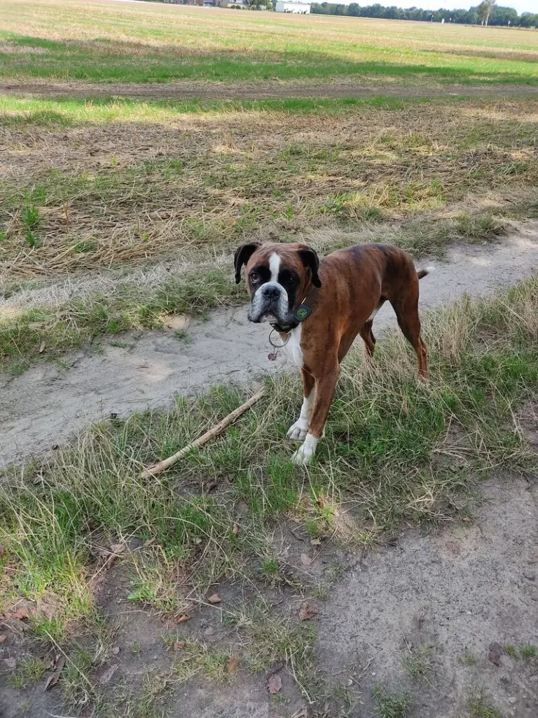 Andachtsbild von Christine Schulte 