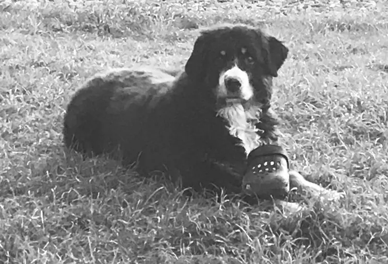 Andachtsbild von Alexandra und Thomas