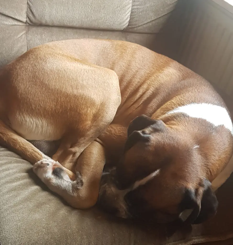 Andachtsbild von Heike