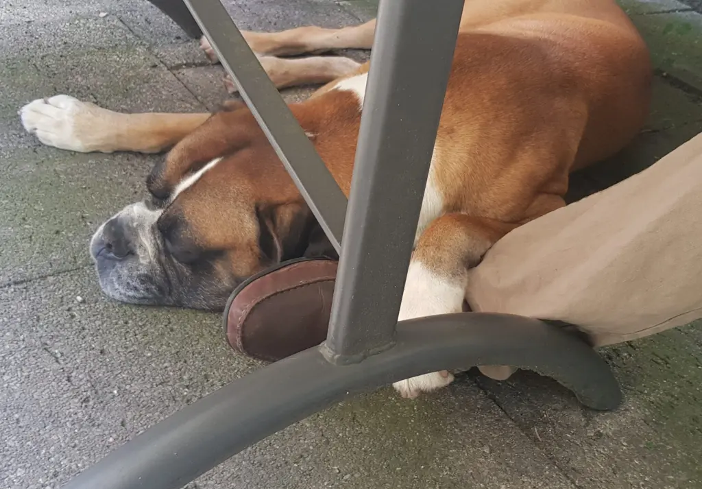 Andachtsbild von Heike