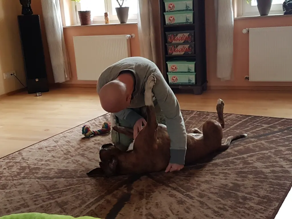 Andachtsbild von Karina und Jörg mit Floyd im ❤ 