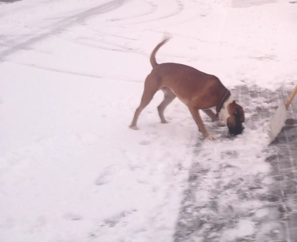 Andachtsbild von Heike