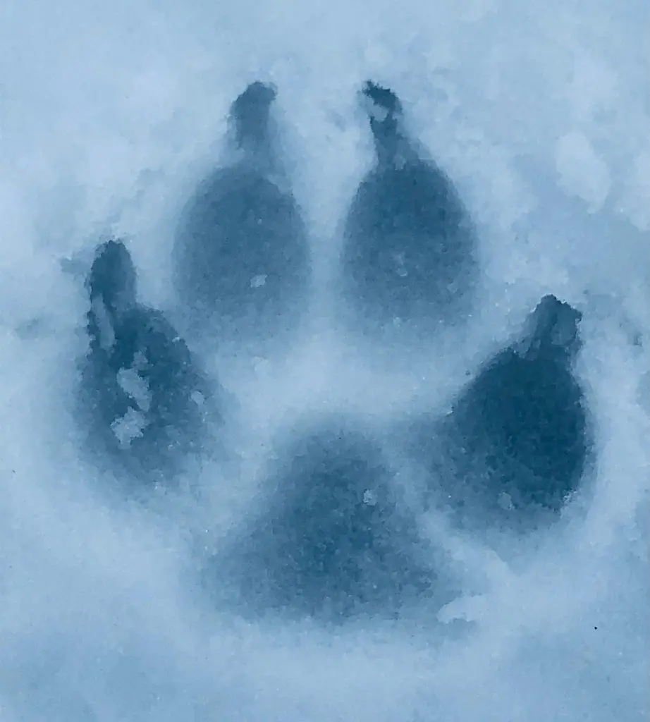 Andachtsbild von Karina mit Floyd im ❤