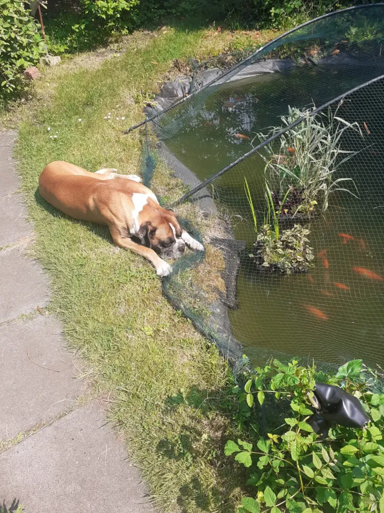 Andachtsbild von Heike