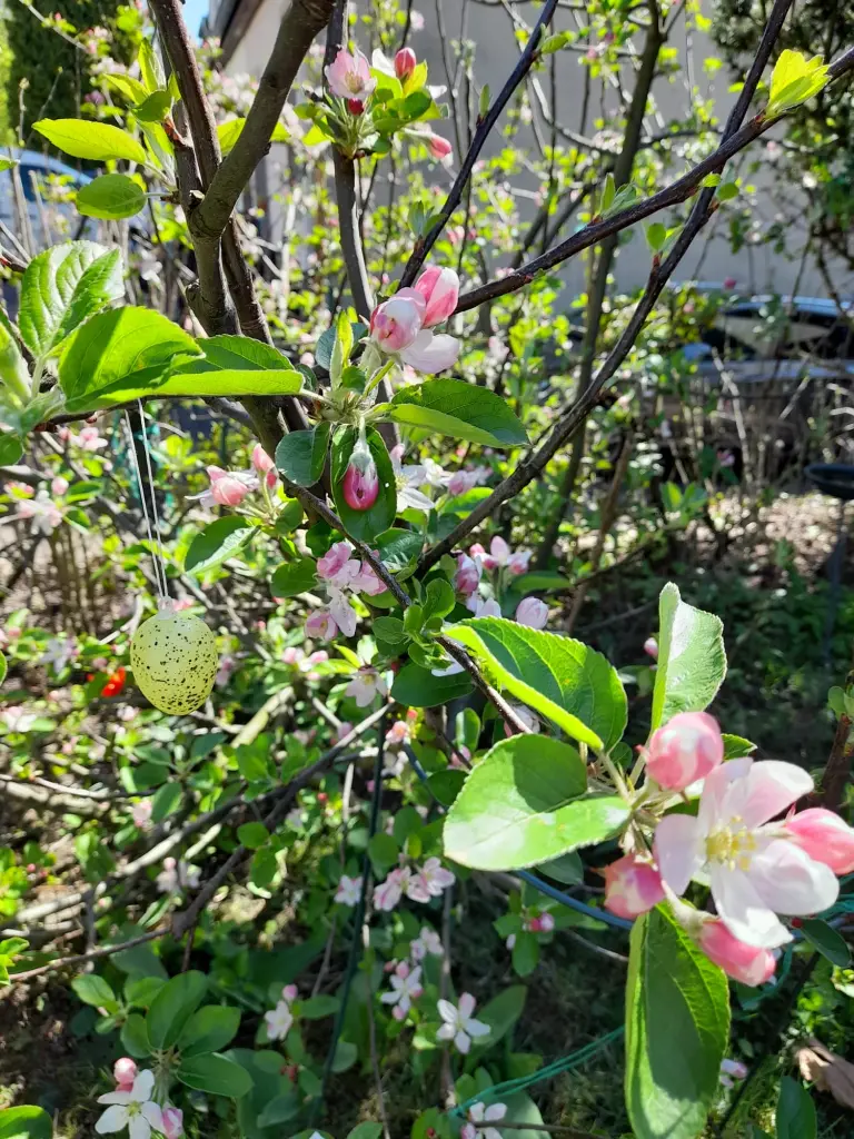 Andachtsbild von Heike