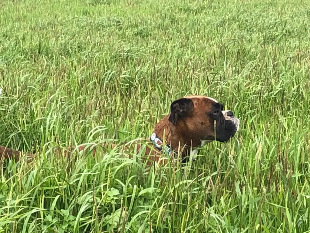 Andachtsbild von Karina und Jörg mit Floyd im ❤