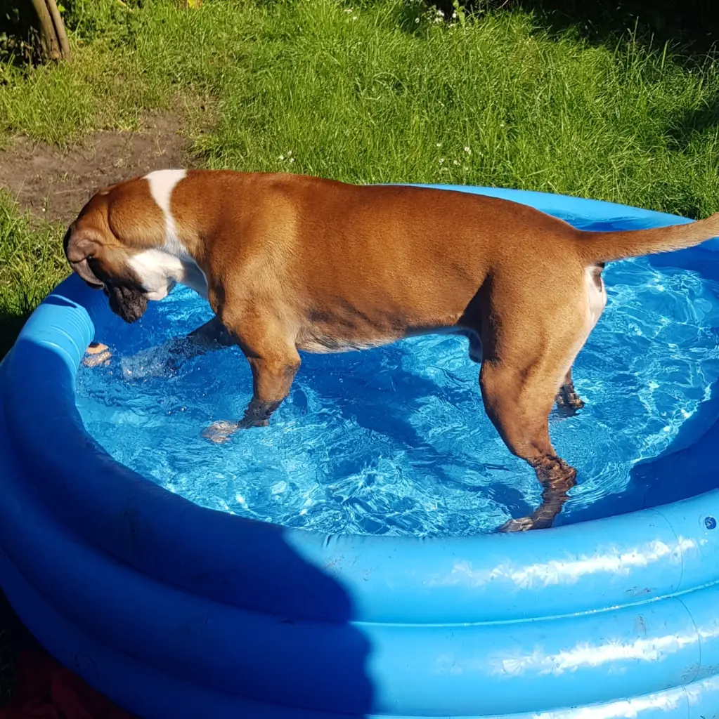 Andachtsbild von Heike