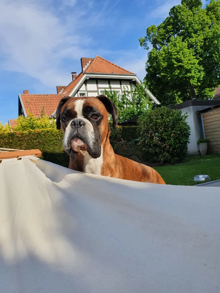 Andachtsbild von Karina mit Floyd im ❤