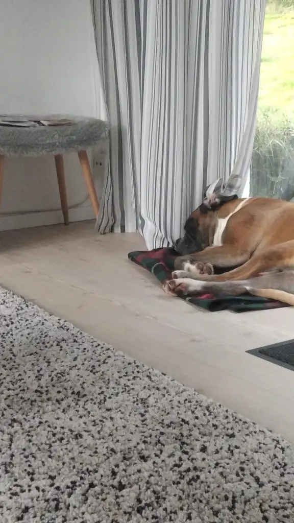 Andachtsbild von Heike