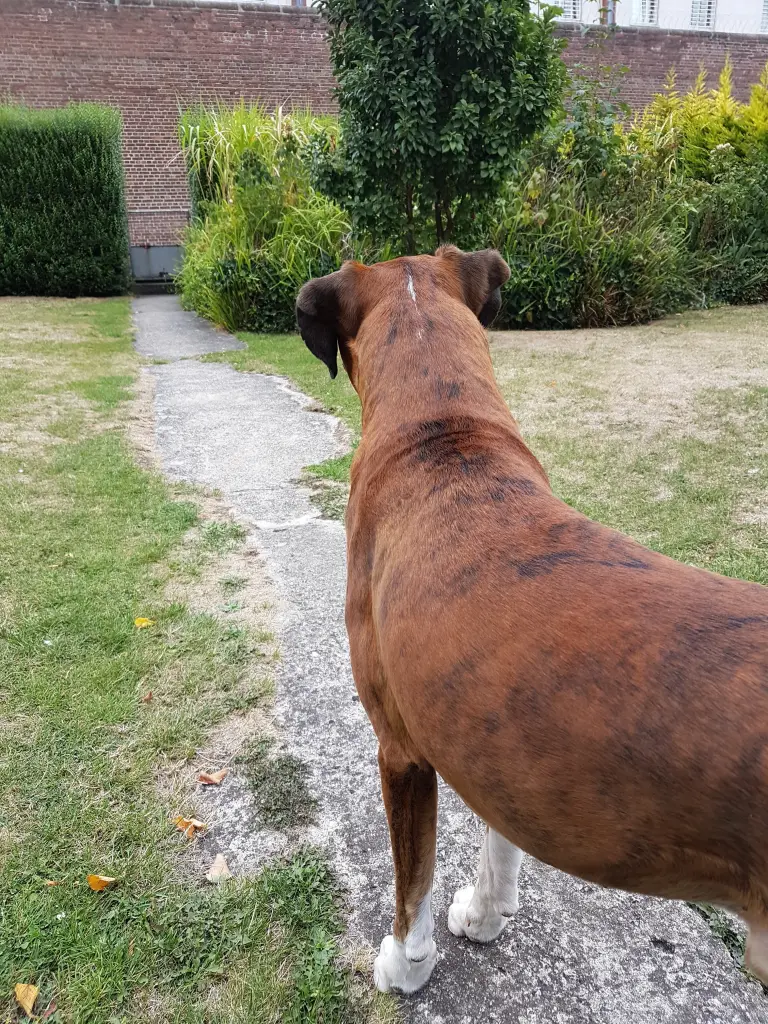 Andachtsbild von Karina und Jörg mit Floyd im ❤