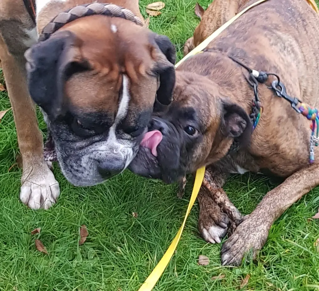 Andachtsbild von Heike