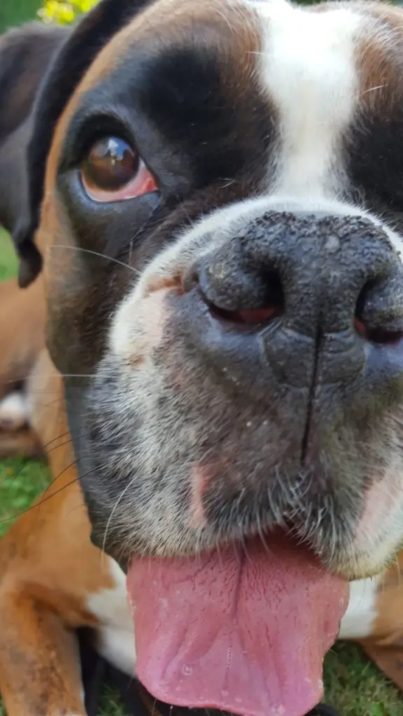 Andachtsbild von Karina und Jörg mit Floyd im ❤