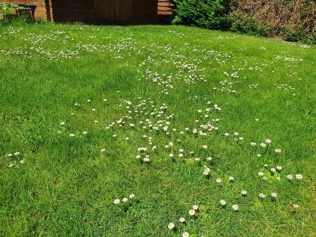 Andachtsbild von Karina mit Floyd im ❤