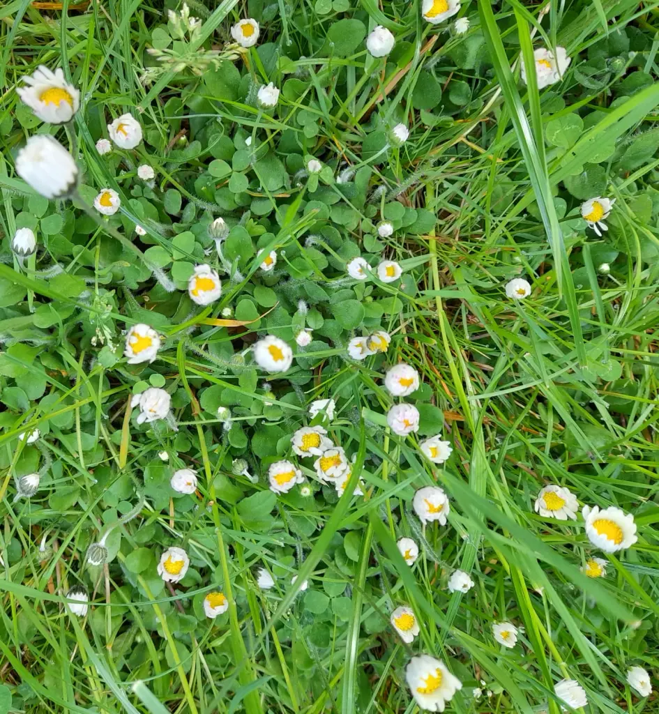 Andachtsbild von Heike