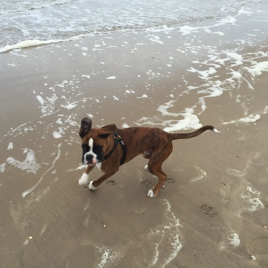 Andachtsbild von Karina mit Floyd im ❤ 