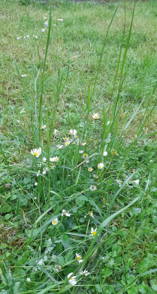 Andachtsbild von Heike