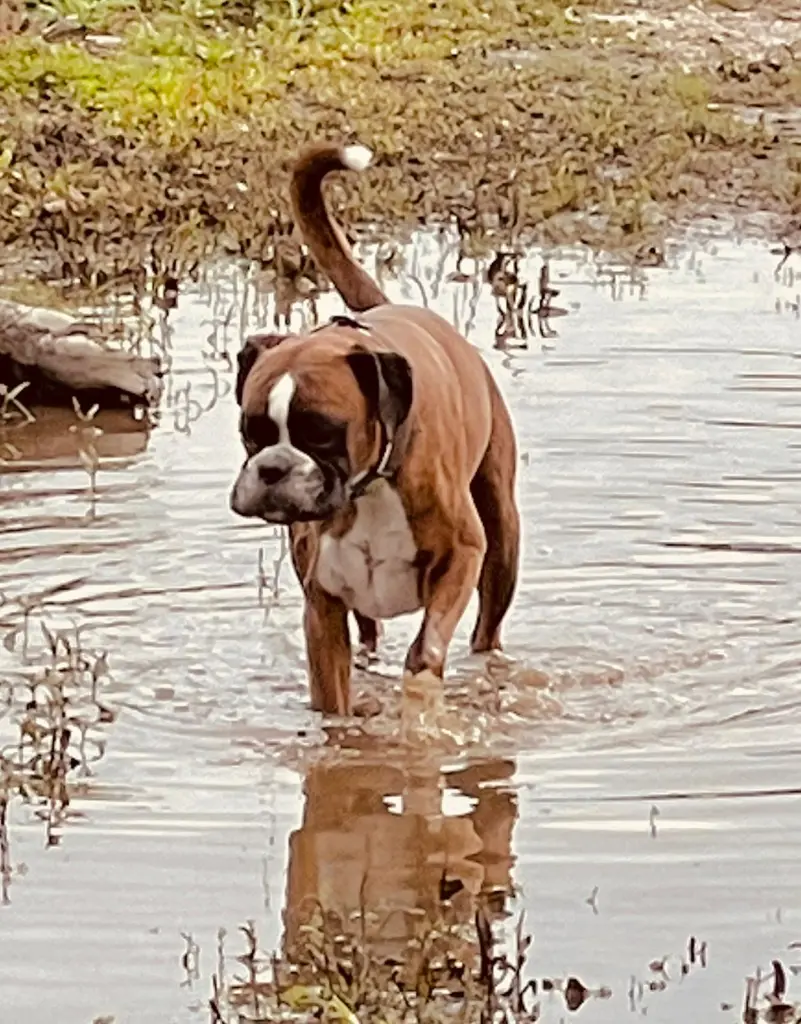 Andachtsbild von Karina mit Floyd im ❤