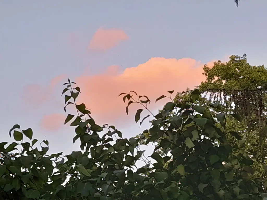 Andachtsbild von Heike