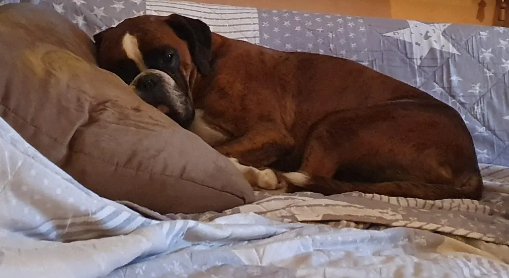 Andachtsbild von Karina mit Floyd im ❤ 