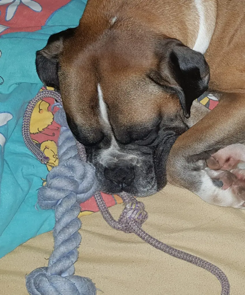 Andachtsbild von Heike